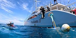 Boat side view at sea